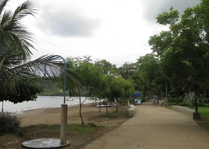 Savannah Playas del Coco